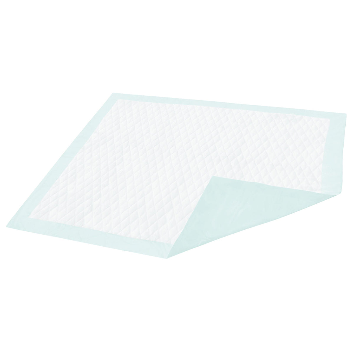 Dignity® Light Absorbency Underpad, 23 x 26 Inch, PK/10