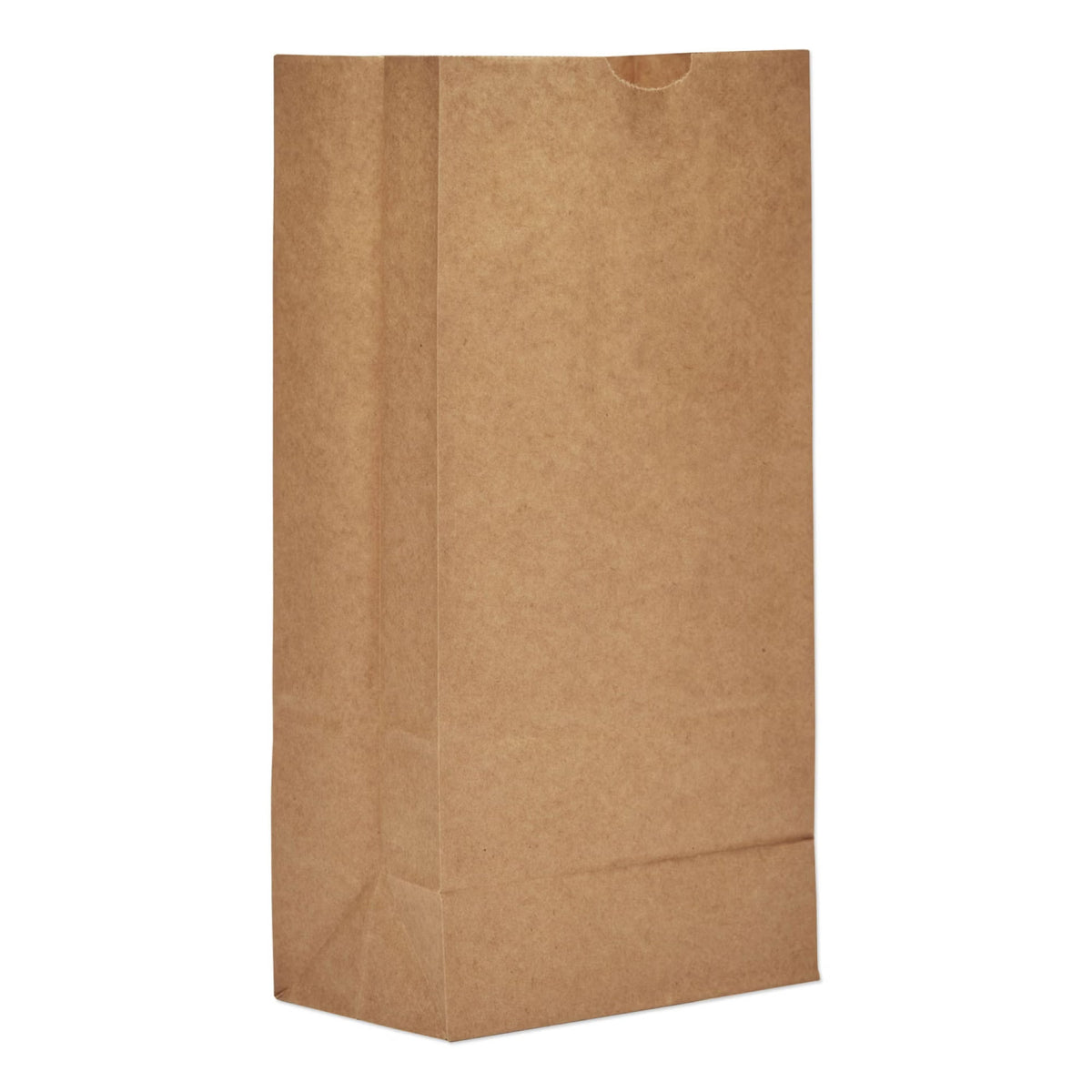 Brown Kraft Paper Bag, 6.3 x 4.2 x 13.38 Inch, CS/500