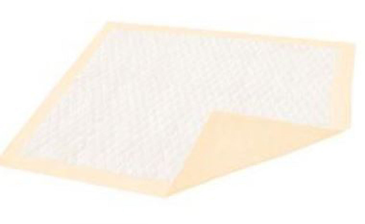 Dignity® Ultrashield® Plus Underpad, 30 X 36 Inch, PK/10