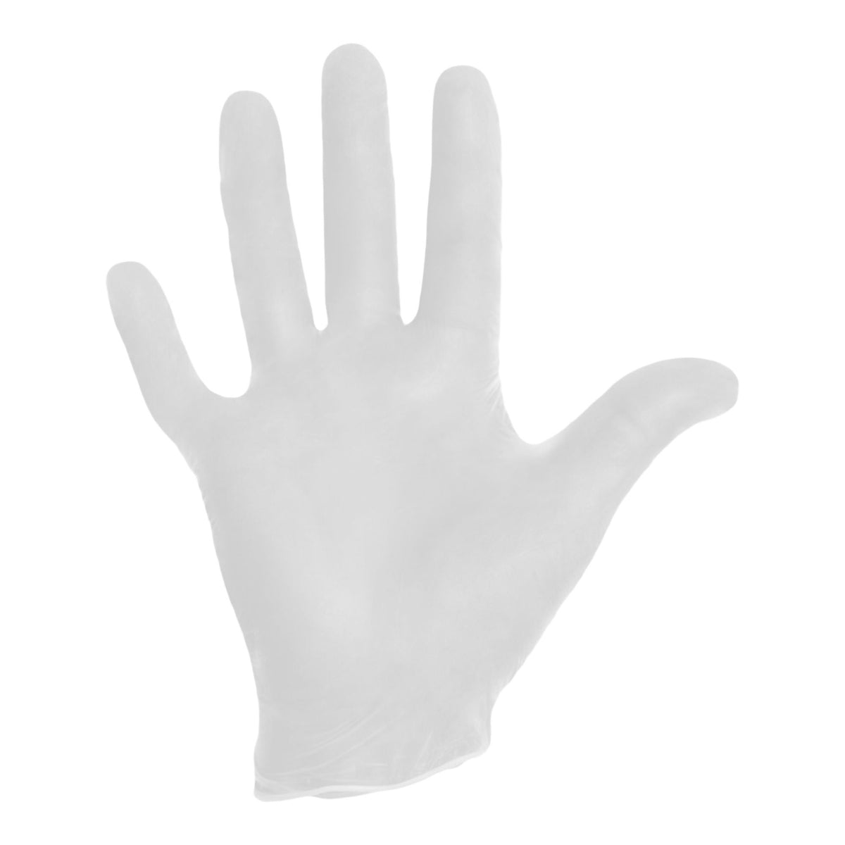 Halyard™ Vinyl Exam Glove, Large, White, CS/1000