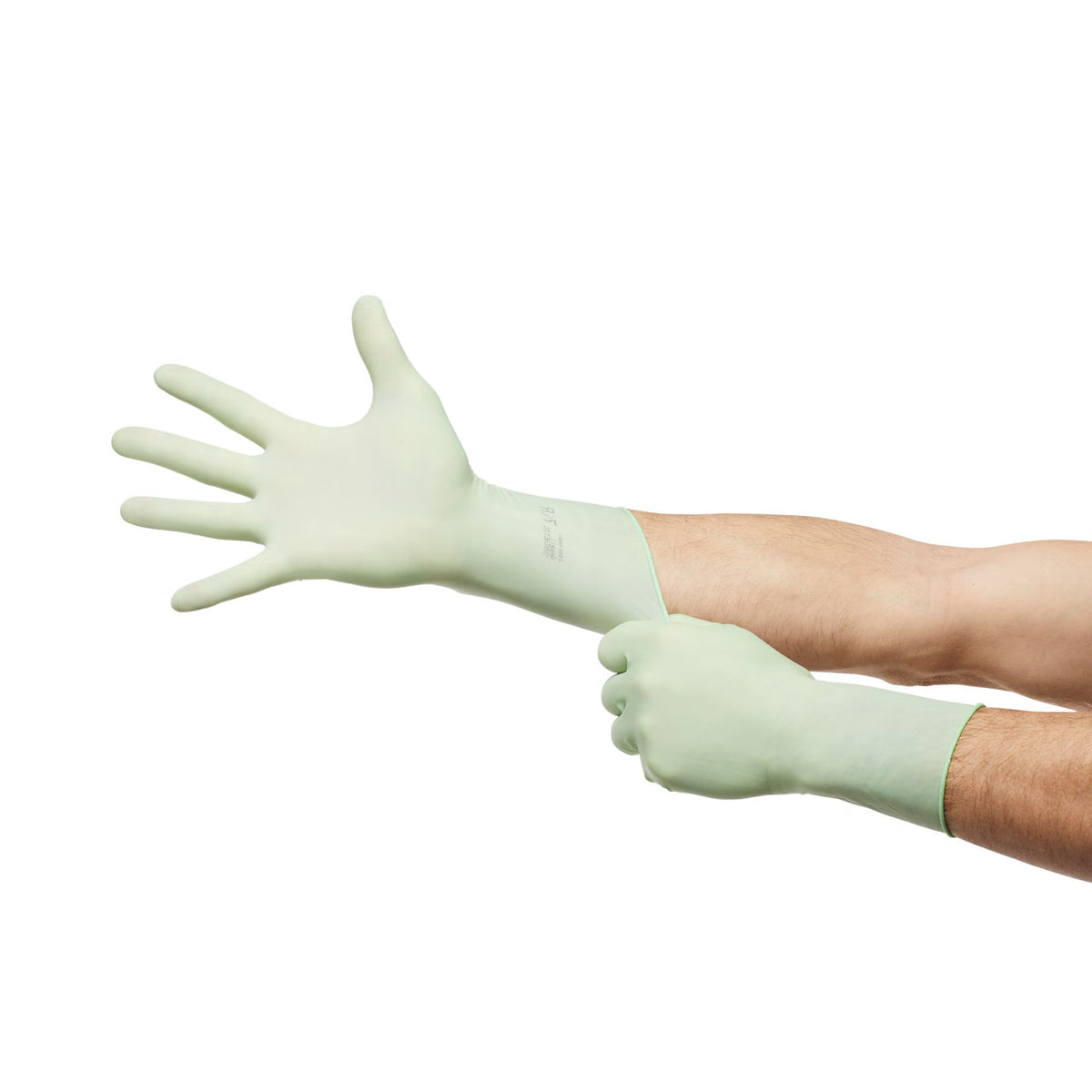 McKesson Perry® Performance Plus Polyisoprene Surgical Glove, Size 7, Green