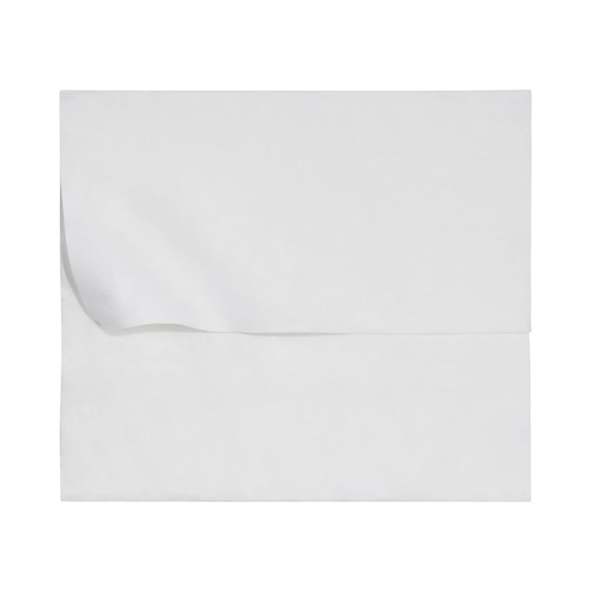 McKesson Flushable* Wet Wipes XL - Unscented, 48 Wipes per Pack