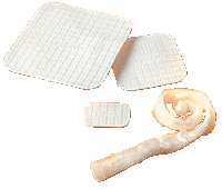 Biatain Alginate Dressing 4" x 4", EA/1